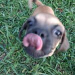 IMG_20260815_162122